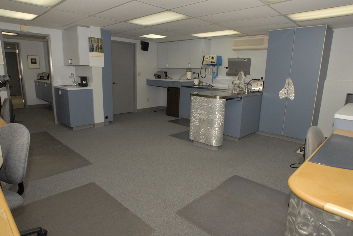 Laboratory Area